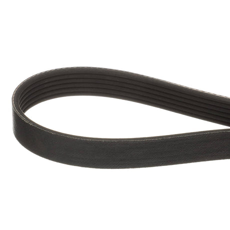 OEM Mercury / Quicksilver 807755Q04 Serpentine Belt, 2,240mm Long