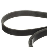 OEM Mercury / Quicksilver 865615Q06 Serpentine Belt, 2,667mm Long for MerCruiser Sterndrive and Inboard Engines