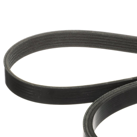OEM Mercury / Quicksilver 865615Q06 Serpentine Belt, 2,667mm Long for MerCruiser Sterndrive and Inboard Engines