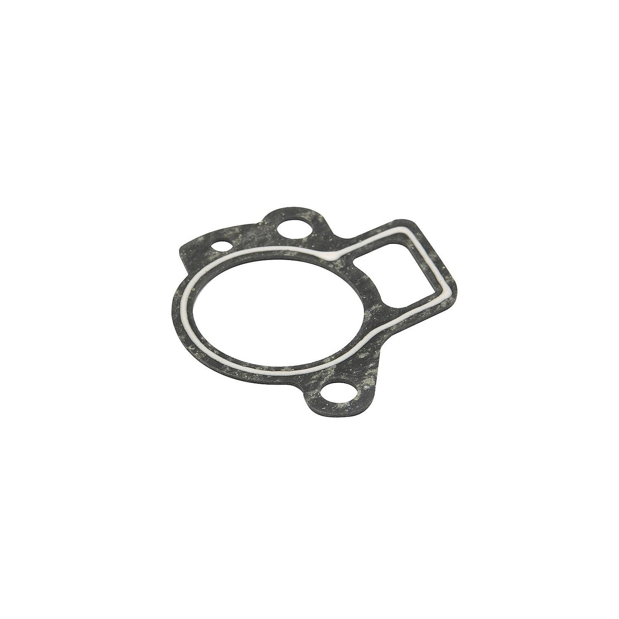 Mercury 40-60hp FourStroke EFI 100 Hour Maintenance Kit