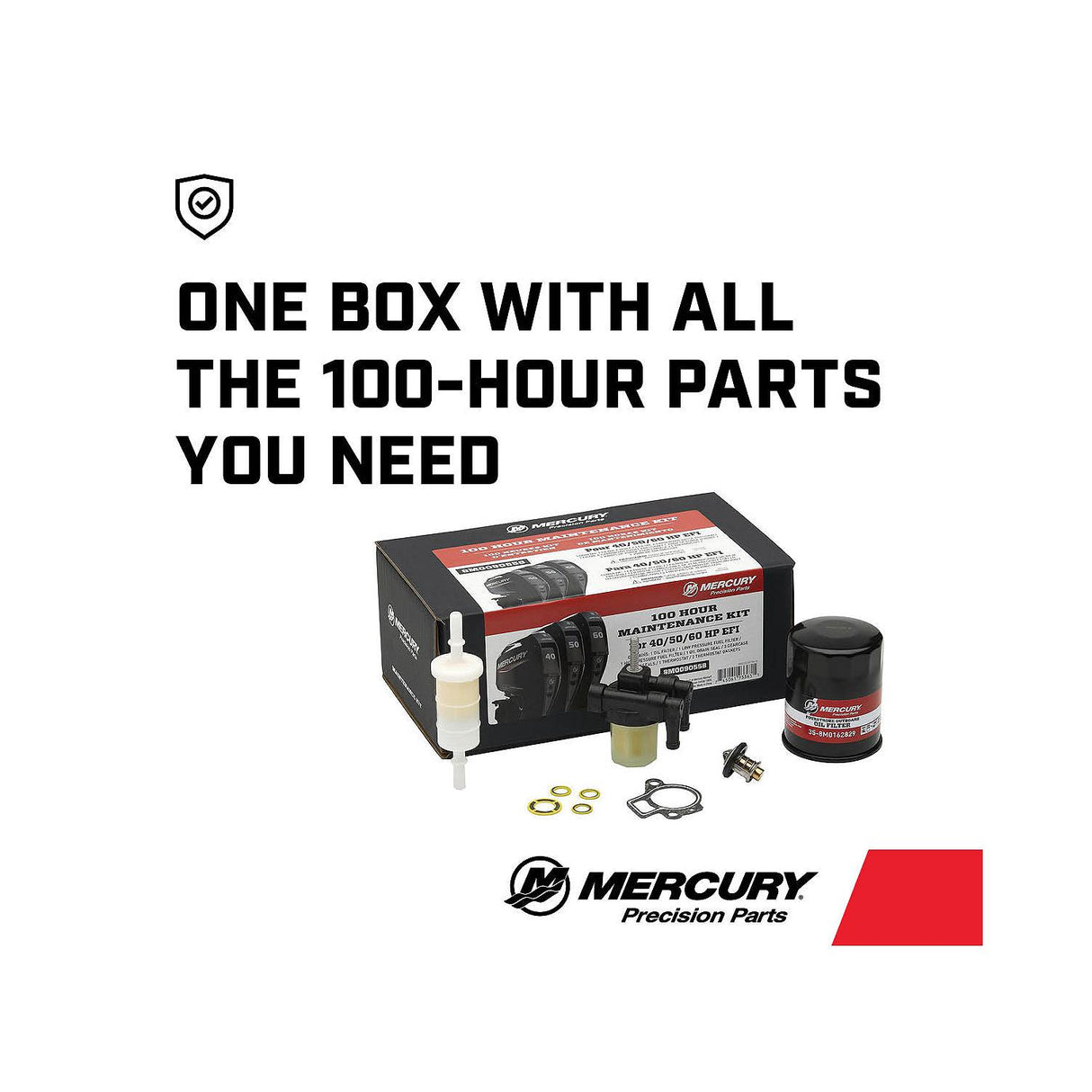 Mercury 40-60hp FourStroke EFI 100 Hour Maintenance Kit