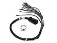 OEM Quicksilver 812475A3 3-Foot 10-Pin Instrument Harness for MerCruiser Gas Engines — manufacturer catalog product photo